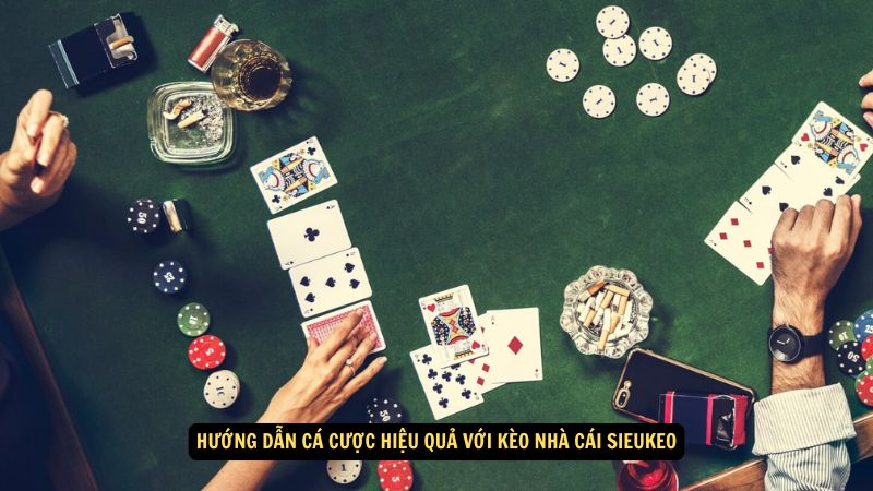 Hướng dẫn cá cược hiệu quả với kèo nhà cái sieukeo