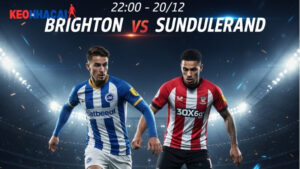 Nhận định bóng đá Brighton vs Sunderland, 22h00 ngày 20/12